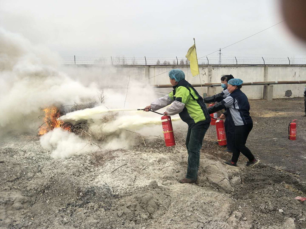 “普及消防知識，提高應(yīng)急能力” ——花生公司開展消防演練培訓(xùn)活動(圖2)