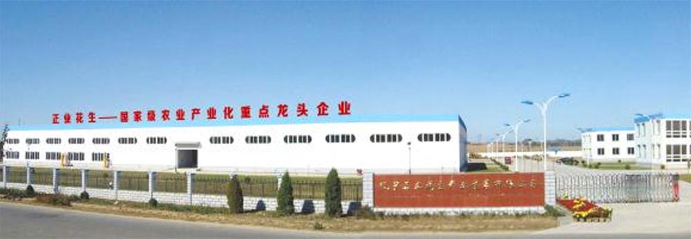 遼寧正業(yè)花生產(chǎn)業(yè)：共抗疫情，龍頭企業(yè)顯擔(dān)當(dāng)！(圖1)