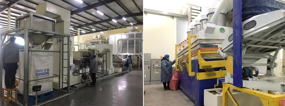 遼寧正業(yè)花生產(chǎn)業(yè)：共抗疫情，龍頭企業(yè)顯擔(dān)當(dāng)！(圖5)