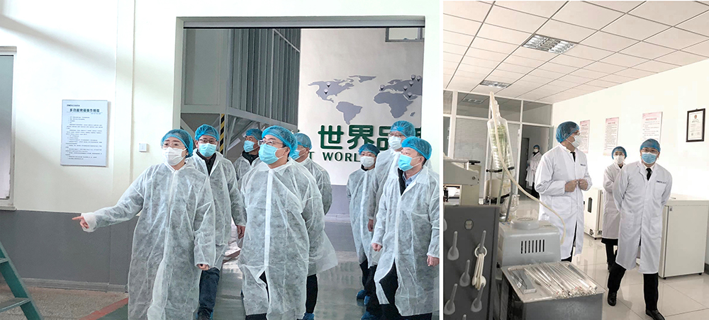 葫蘆島、興城兩市領(lǐng)導(dǎo)蒞臨正業(yè)花生產(chǎn)業(yè)調(diào)研指導(dǎo)(圖1)