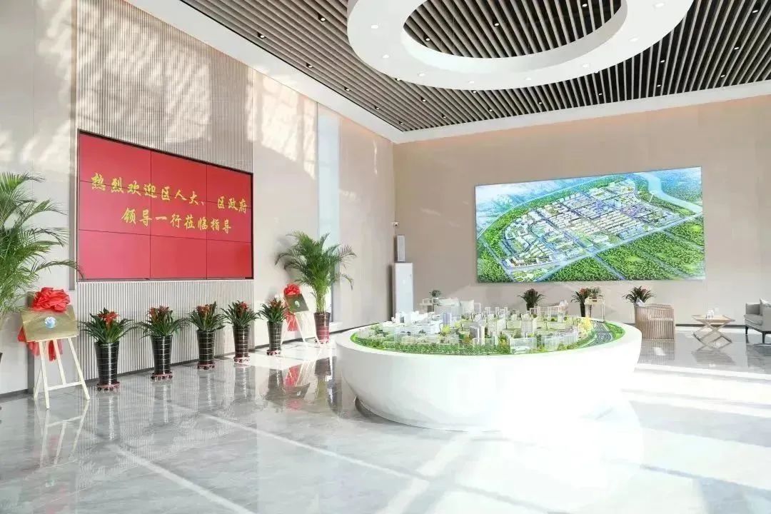 龍港區(qū)人大、區(qū)政府領(lǐng)導(dǎo)一行視察調(diào)研龍港國(guó)際醫(yī)療健康產(chǎn)業(yè)園(圖2)