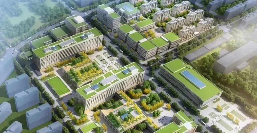 龍港區(qū)人大、區(qū)政府領(lǐng)導(dǎo)一行視察調(diào)研龍港國(guó)際醫(yī)療健康產(chǎn)業(yè)園(圖23)