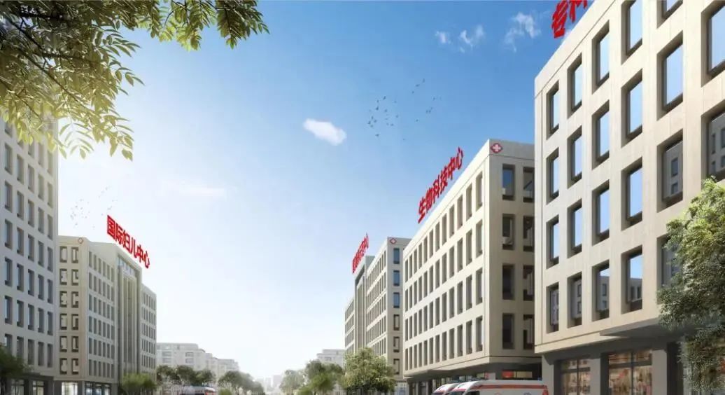 龍港區(qū)人大、區(qū)政府領(lǐng)導(dǎo)一行視察調(diào)研龍港國(guó)際醫(yī)療健康產(chǎn)業(yè)園(圖24)